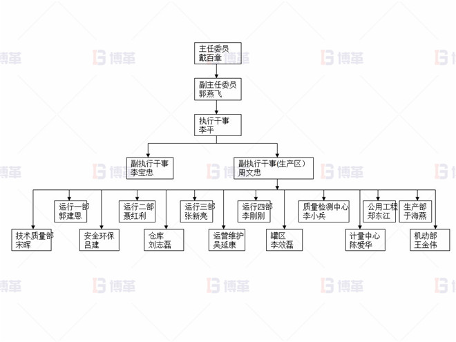 某化工廠生產(chǎn)區(qū)5S改善案例 5S項目組織架構(gòu)